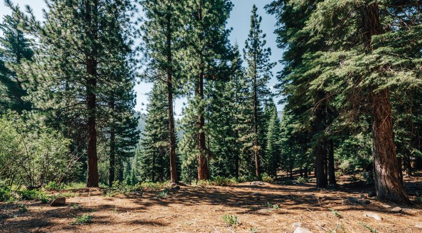 Photo of The Northstar