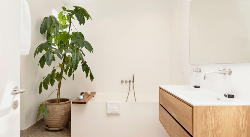 Photo of Master of Light