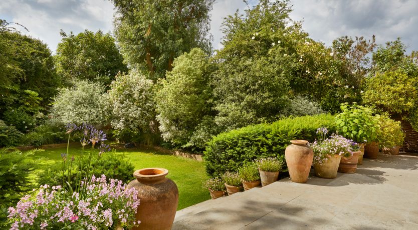 Photo of The City Oasis