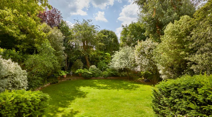 Photo of The City Oasis