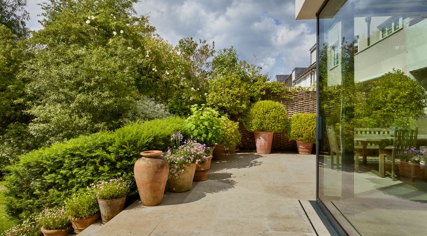 Photo of The City Oasis