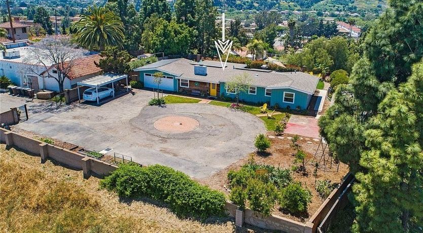 Photo of Sunshine Sally