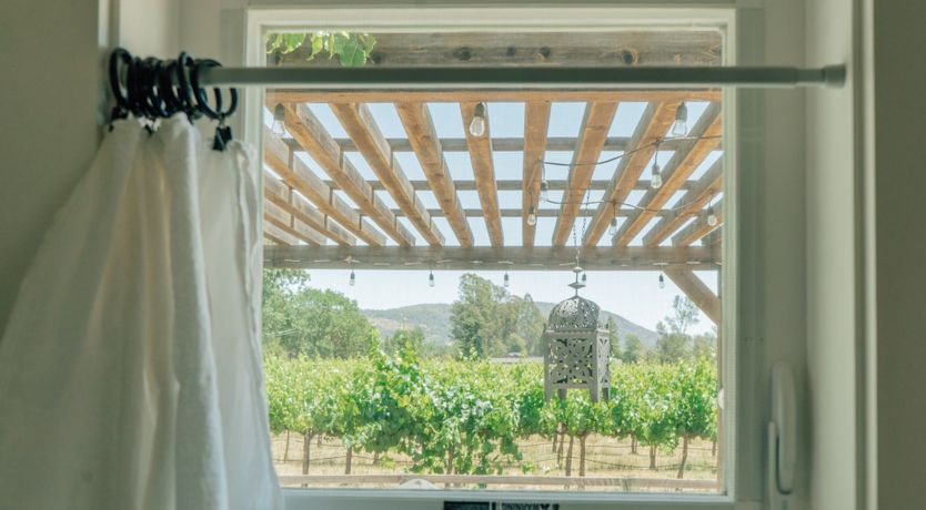 Photo of Amidst The Vines