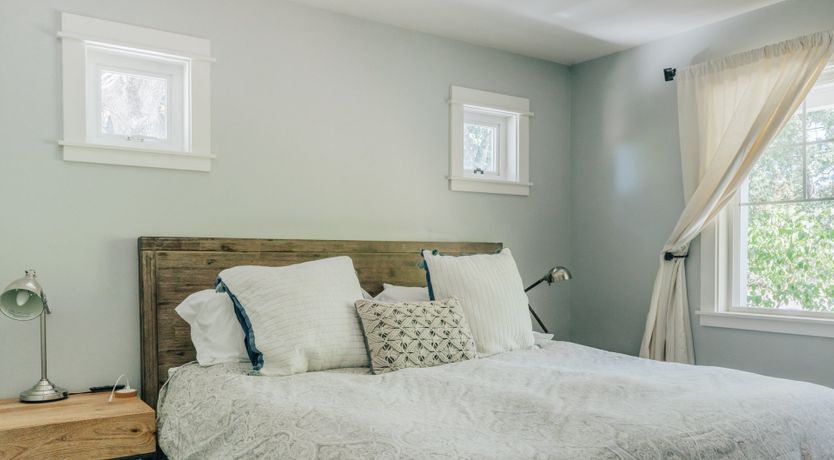 Photo of Amidst The Vines