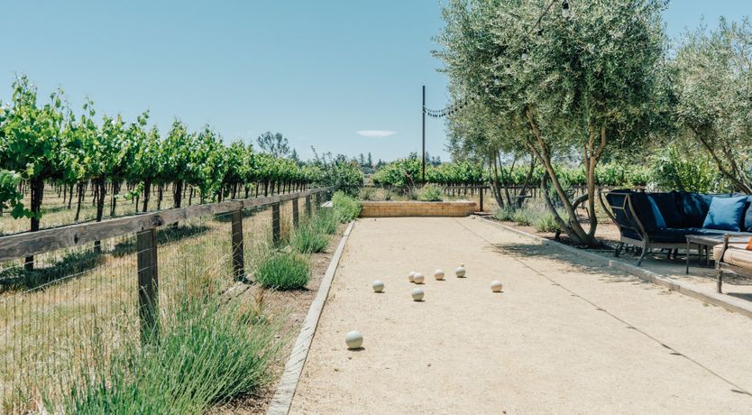 Photo of Amidst The Vines