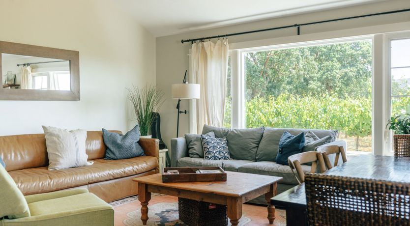 Photo of Amidst The Vines