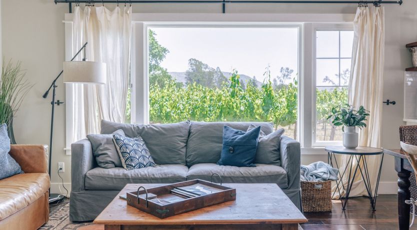 Photo of Amidst The Vines