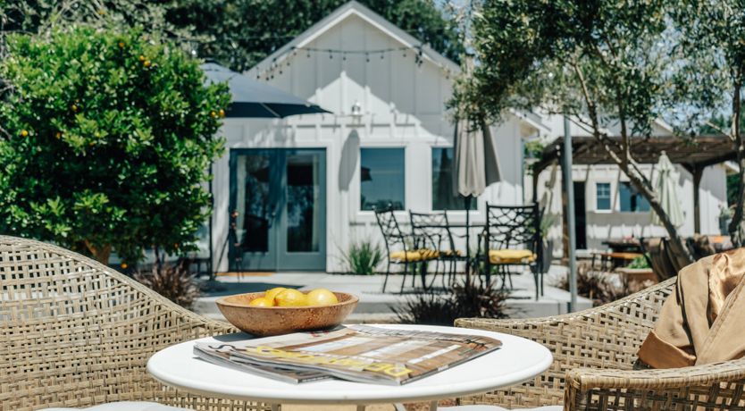 Photo of Amidst The Vines