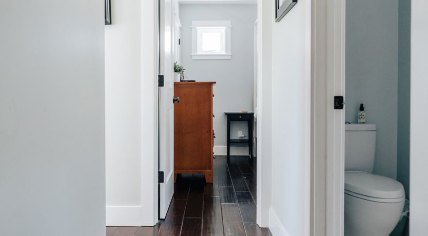 Photo of Amidst The Vines