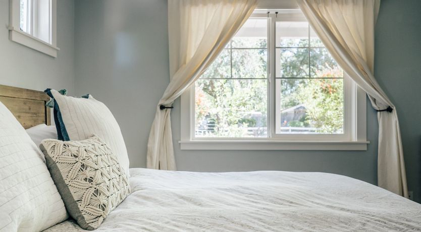 Photo of Amidst The Vines