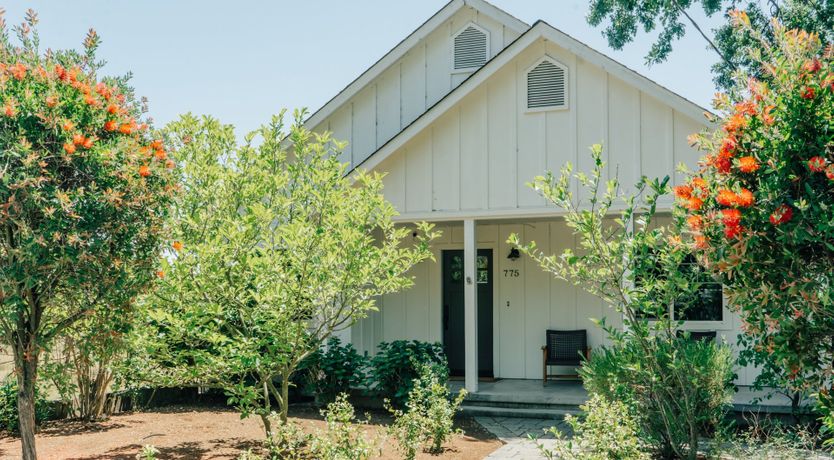 Photo of Amidst The Vines