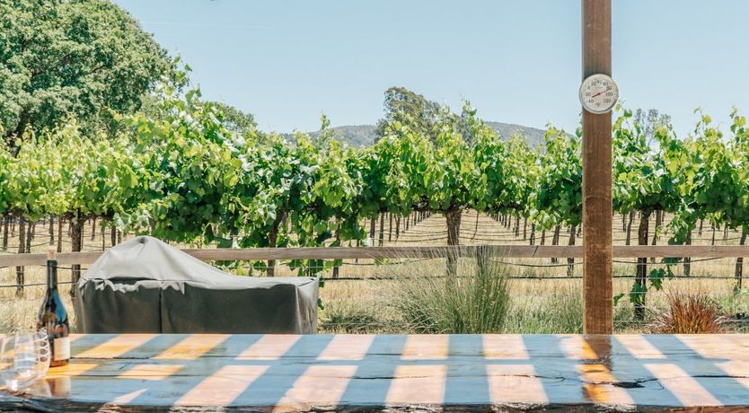 Photo of Amidst The Vines