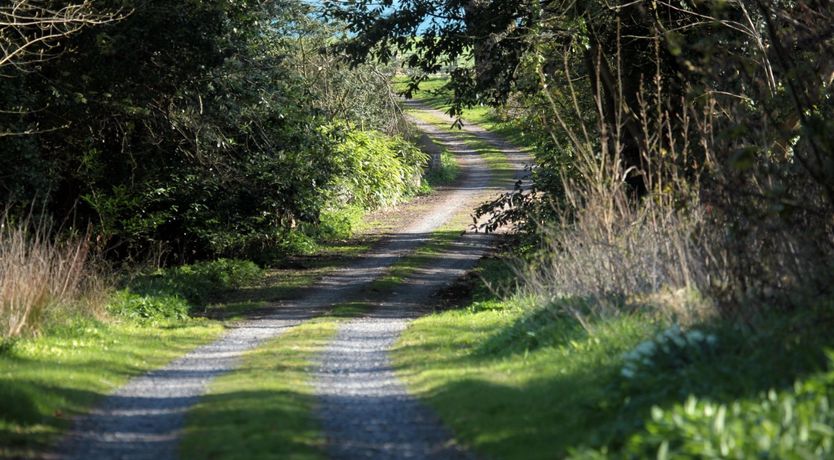 Photo of Forest's Edge