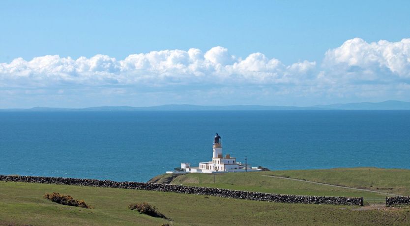 Photo of Forest's Edge