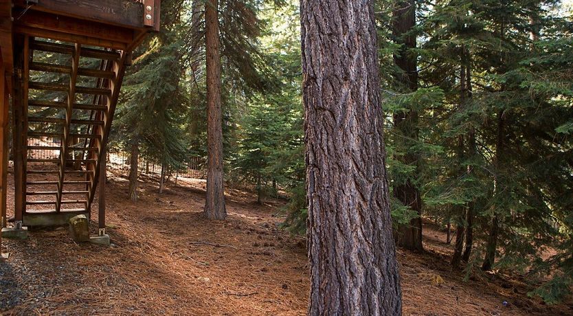 Photo of Soaring Skies