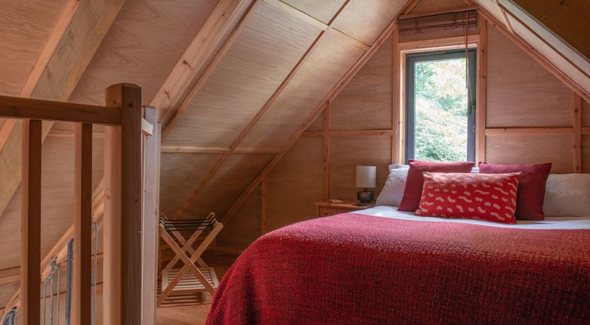 Photo of A New Belonging