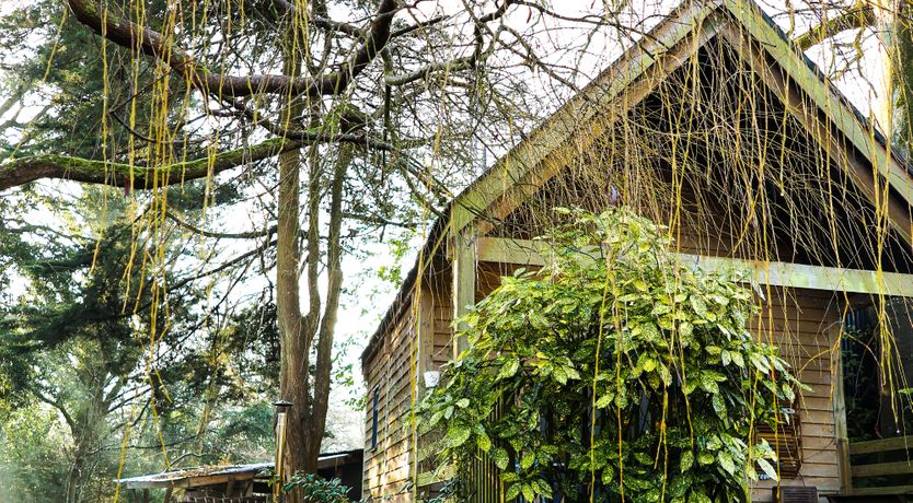 Photo of A New Belonging