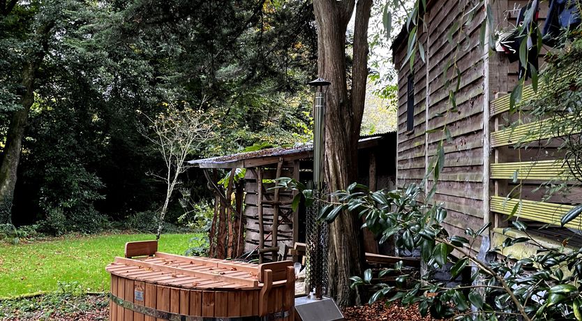 Photo of A New Belonging