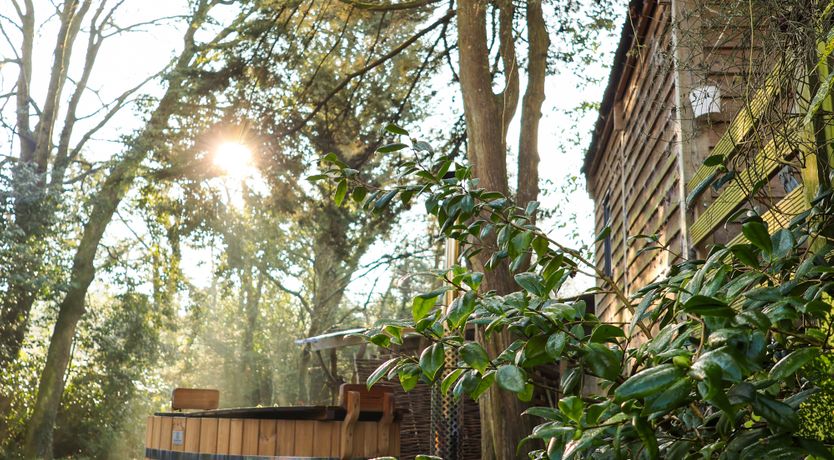 Photo of A New Belonging