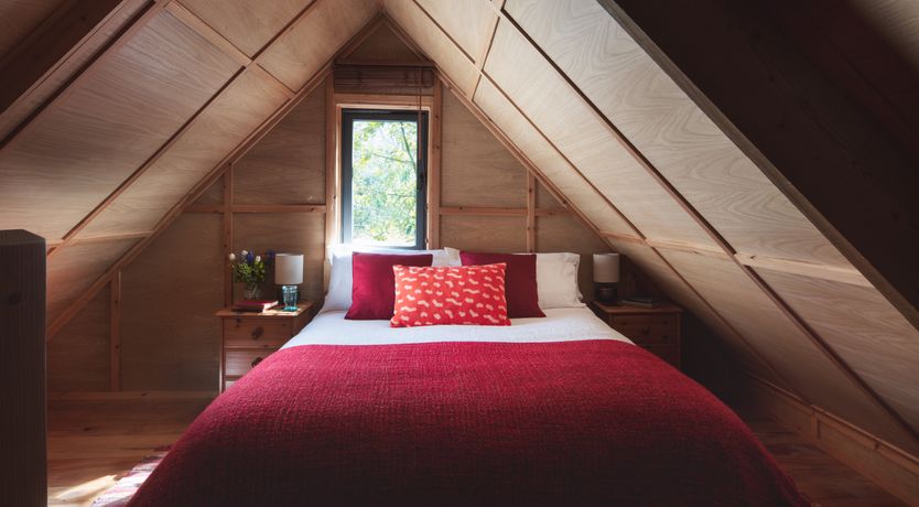 Photo of A New Belonging