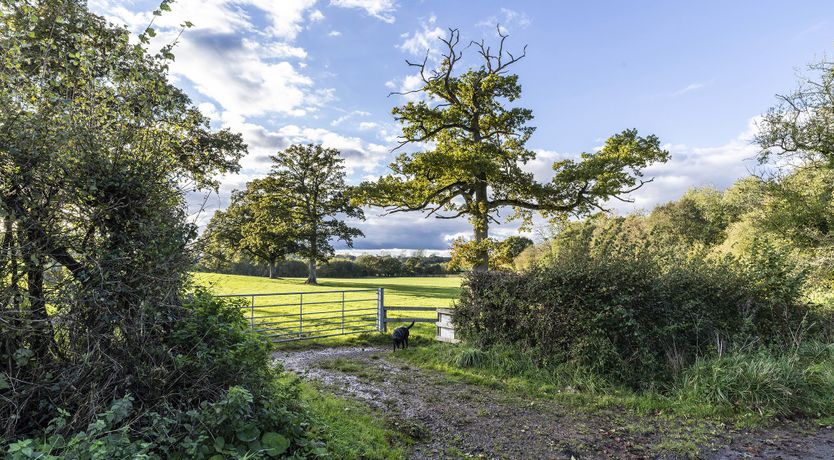 Photo of Wildflower Meadows