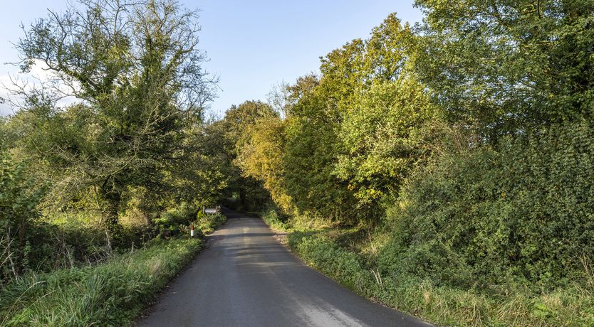 Photo of Wildflower Meadows