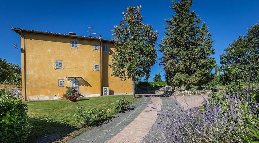 Photo of Hounds Of Medici