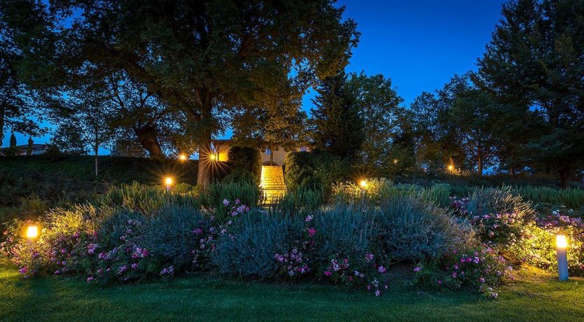 Photo of Hounds Of Medici