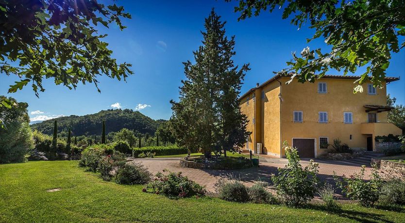 Photo of Hounds Of Medici