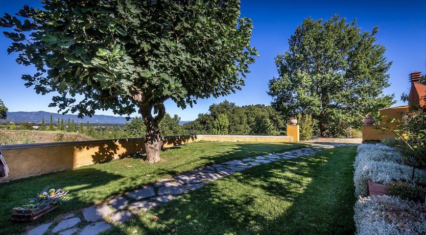 Photo of Hounds Of Medici