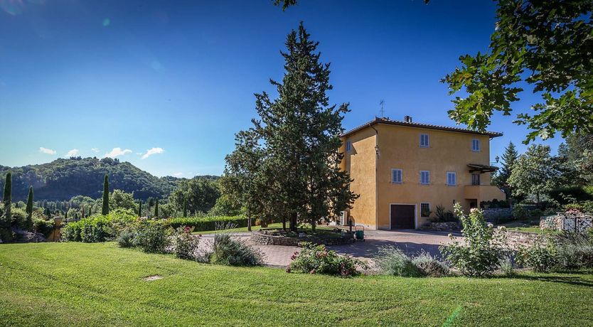 Photo of Hounds Of Medici