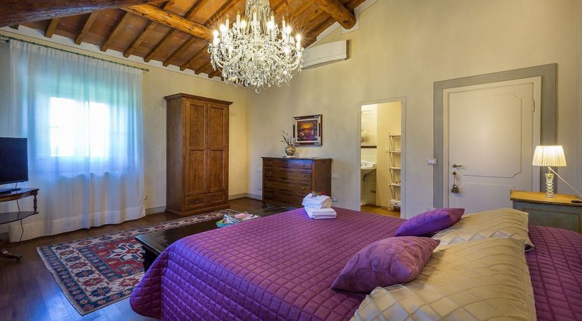 Photo of Hounds Of Medici