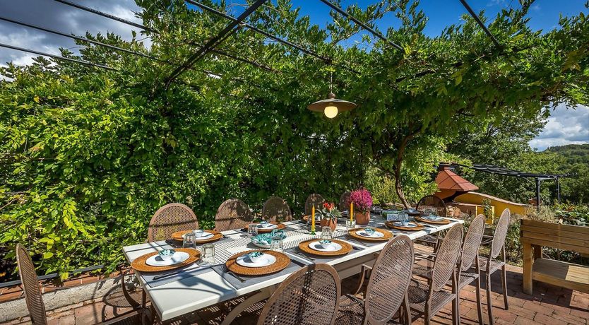 Photo of Hounds Of Medici