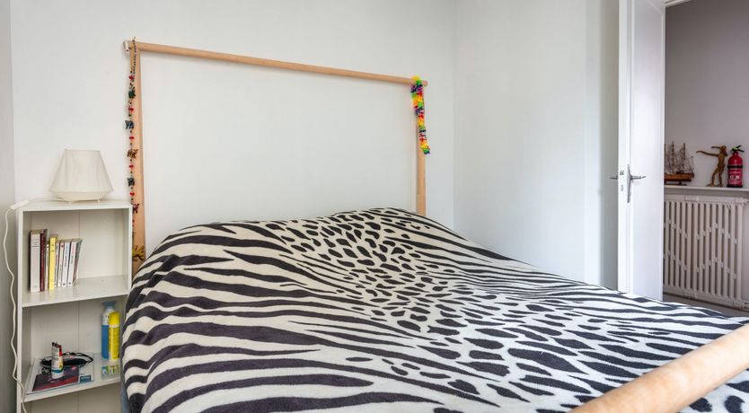 Photo of Pulling Petals