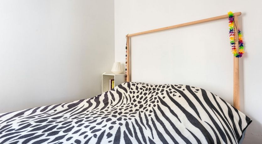 Photo of Pulling Petals