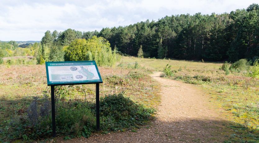 Photo of Halcyon Hideaway