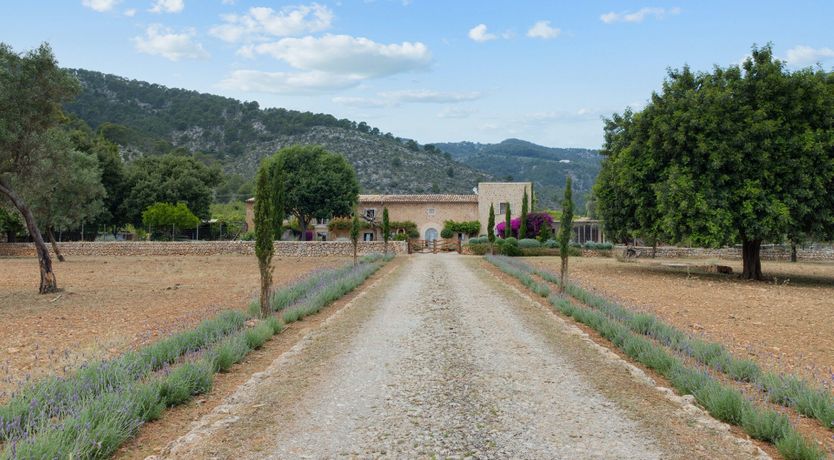 Photo of Earthly Delights