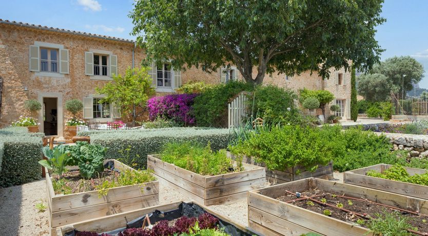 Photo of Earthly Delights