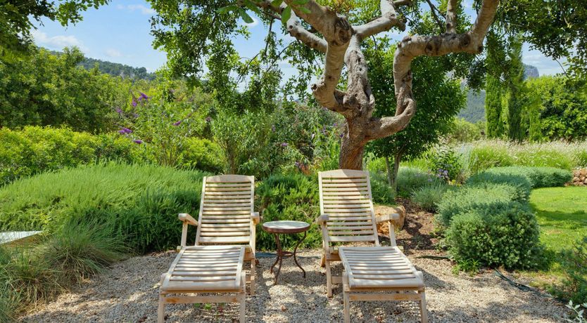 Photo of Earthly Delights