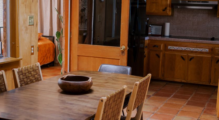 Photo of Cactus Sunshine