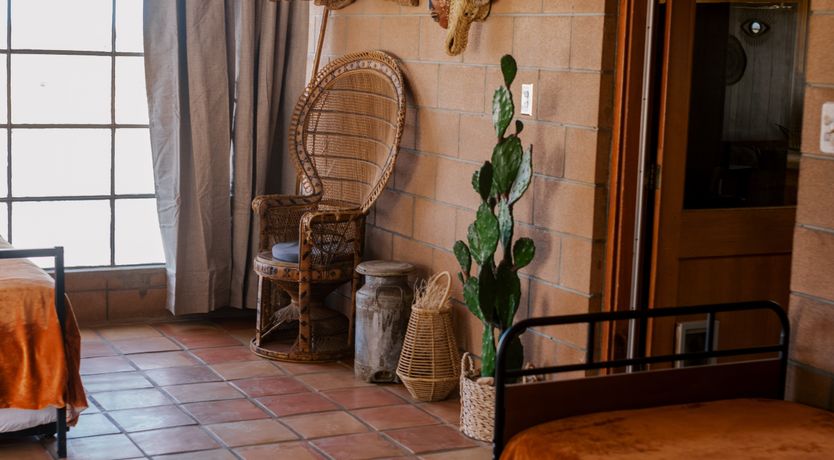 Photo of Cactus Sunshine