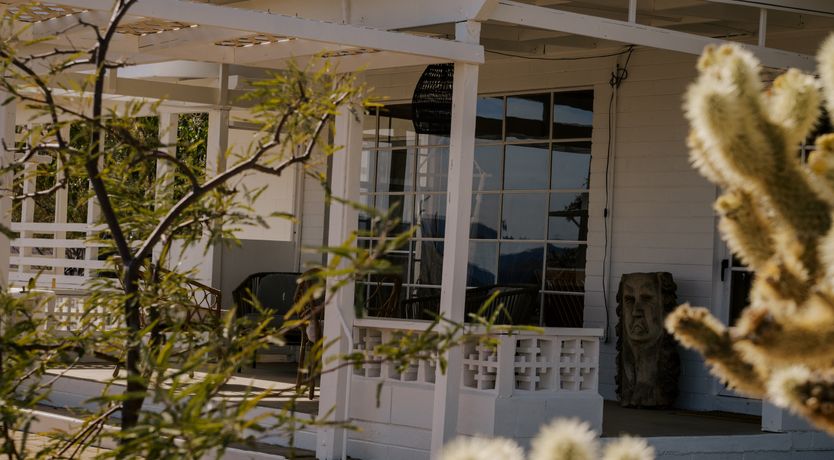 Photo of Cactus Sunshine