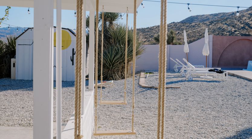 Photo of Cactus Sunshine