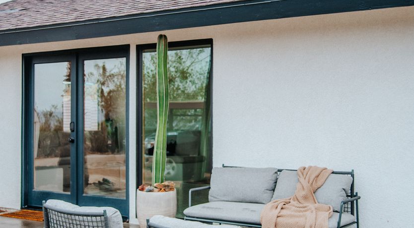 Photo of Cactus Sunshine