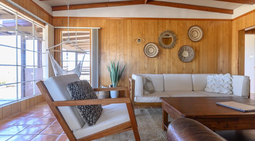 Photo of Cactus Sunshine