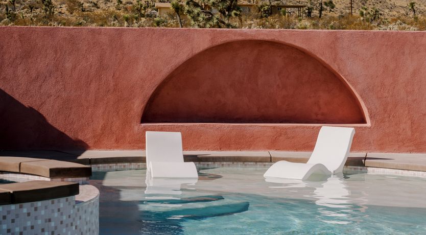 Photo of Cactus Sunshine