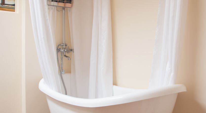 Photo of Cactus Sunshine