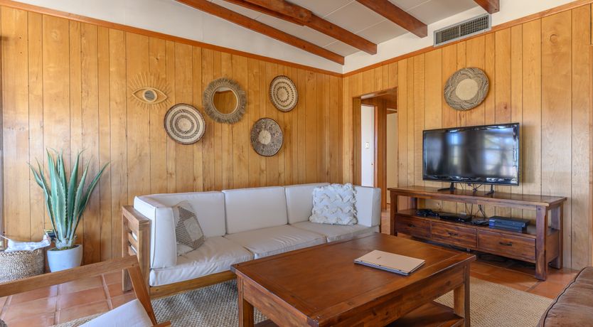 Photo of Cactus Sunshine