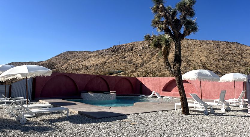 Photo of Cactus Sunshine