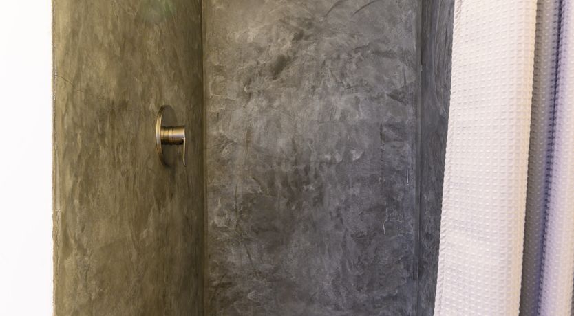 Photo of Cactus Sunshine